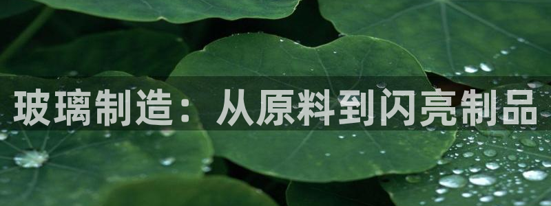 彩神ix可靠吗