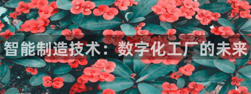 彩神天下专家专栏：智能制造技术：数字化工厂的未来