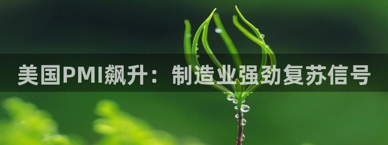 彩神V3大赢家