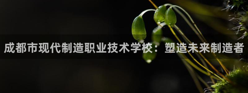 彩神8是正规平台吗是正品吗