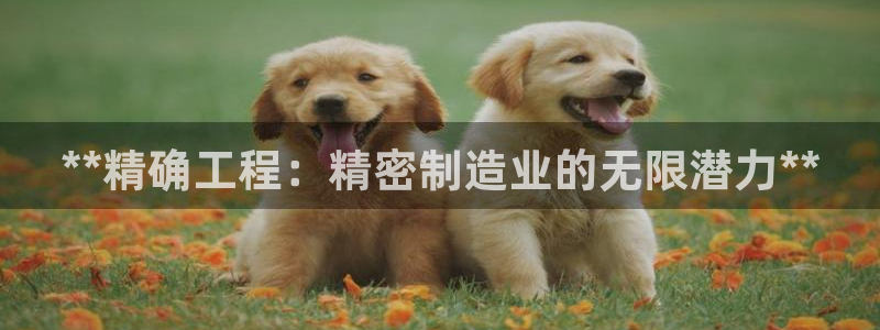 彩神平台注册登录