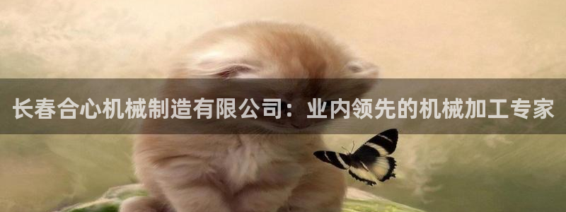彩神是什么平台的游戏
