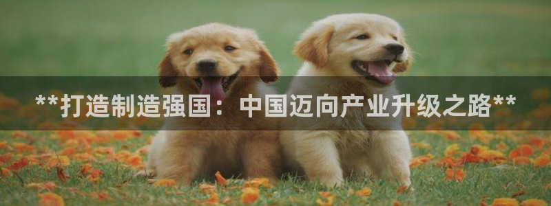 彩神的邀请码是多少