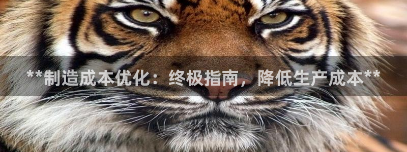 彩神v8手机客户端