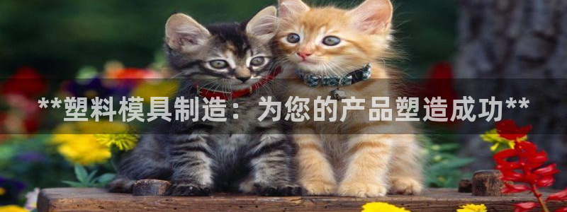 彩神大发官网