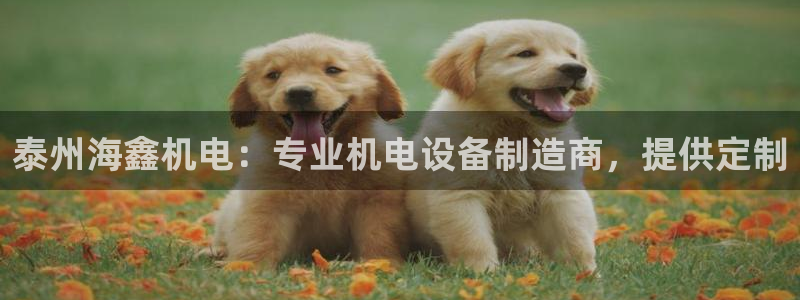 彩神vii官网大赢家