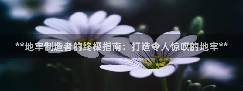 彩神8彩平台客服