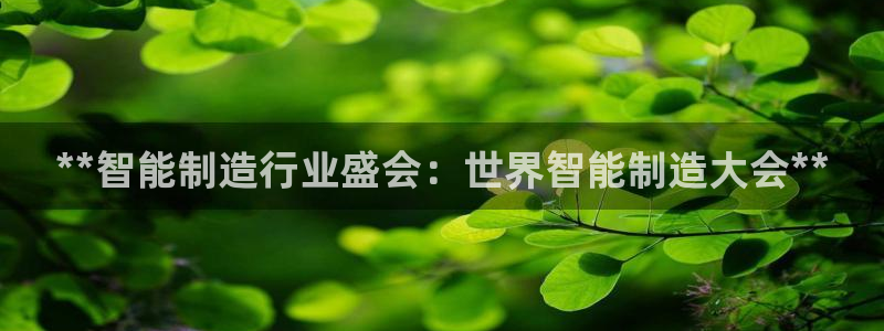 彩神争霸老平台