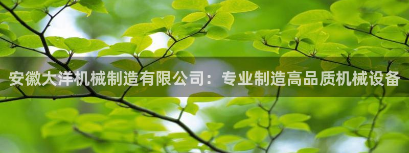 彩神8是正规平台吗