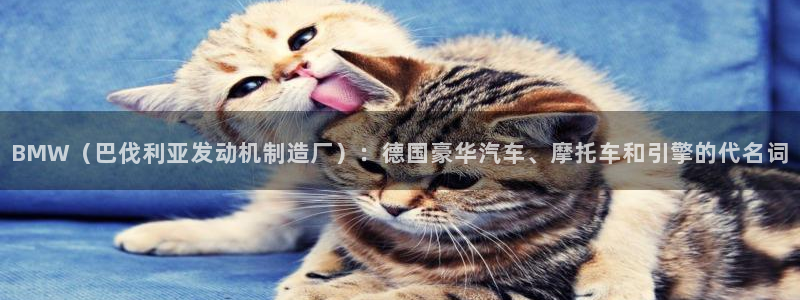 彩神大发cp