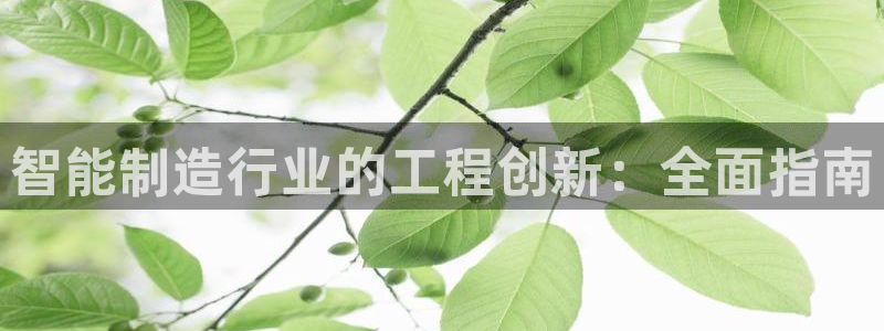 彩神系列平台
