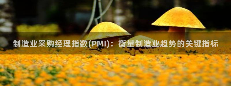 彩神大发黑平台