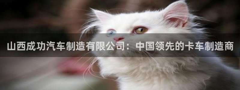 彩神V集团公司