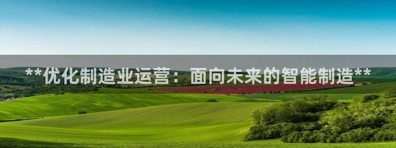 彩神合法吗.是国家认可的吗：**优化制造业运营：面向未来的智