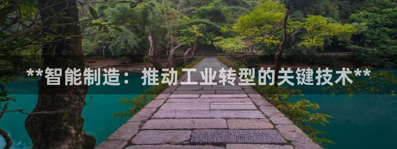 彩神V8有限公司