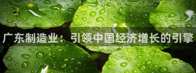 彩神通官方网