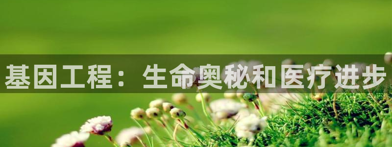 在彩神网输了六万多怎么拿回来