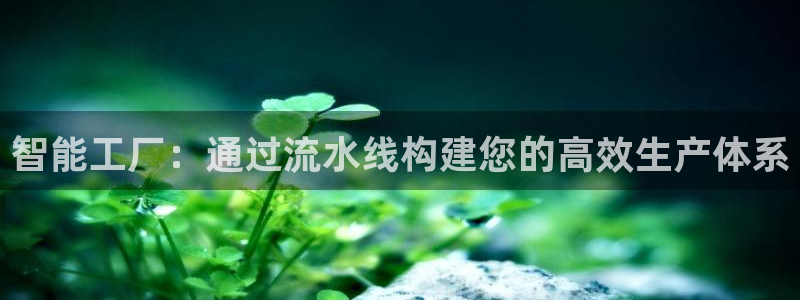 彩神V8有限公司