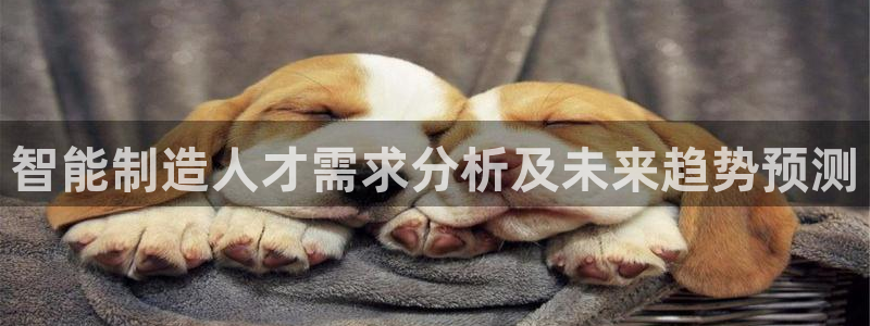 彩神v8首页