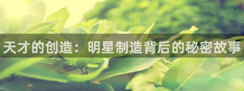 彩神viii是正规平台吗?