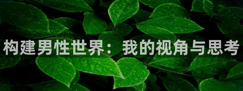 彩神到底能不能赚钱