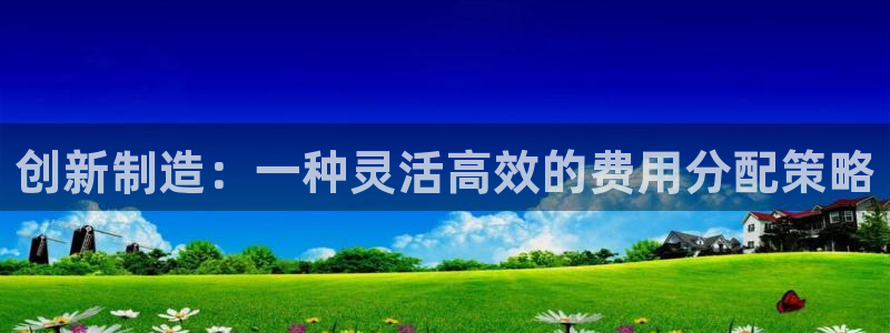 彩神官方网站登录是多少：创新制造：一种灵活高效的费用分配策略