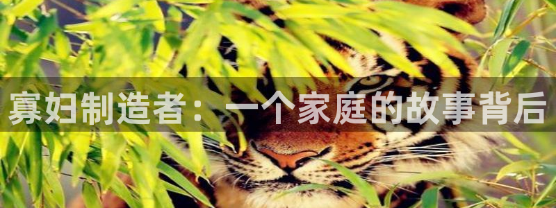 彩神ll能赚钱吗