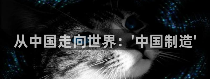 彩神V购彩大厅：从中国走向世界：\'中国制造\'