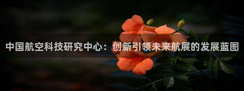 大发彩神争：中国航空科技研究中心：创新引领未来航展的发展蓝图