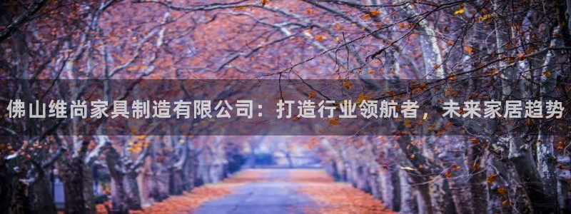 彩神viii下载安卓：佛山维尚家具制造有限公司：打造行业领航者，未来家居趋势