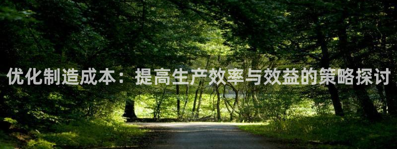 所有彩神购买首页都一样吗：优化制造成本：提高生产效率与效益的策略探讨