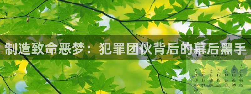 彩神vll官网-最新版app下载