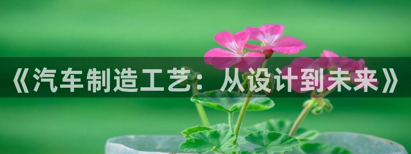 彩神8彩平台