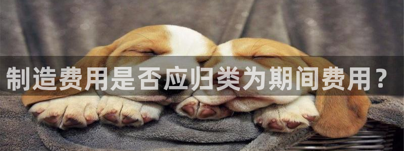 彩神v争霸是啥