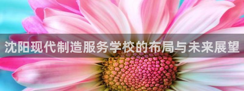 彩神平台可以破解吗