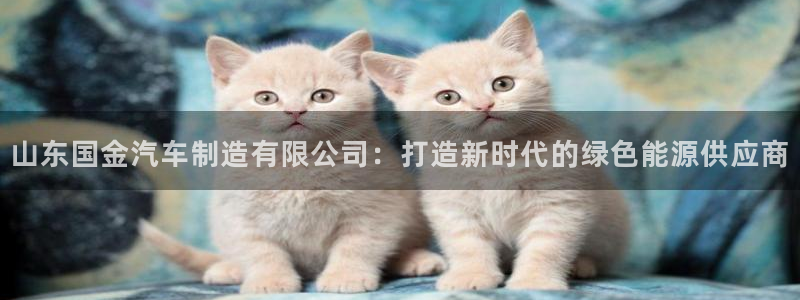 彩神v8下载app5.0：山东国金汽车制造有限公司：打造新时代的绿色能源供应商