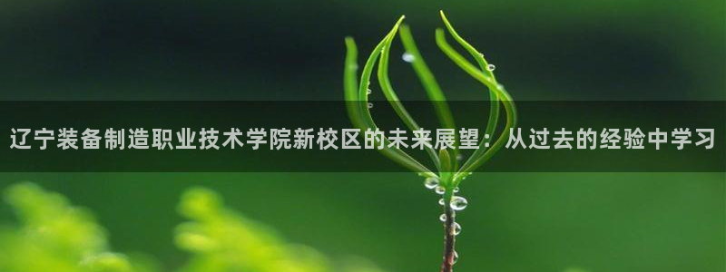 彩神网能赚钱是怎么回事