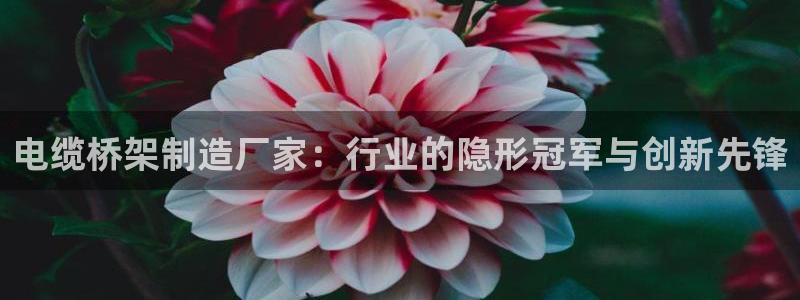 彩神ix能赚钱吗：电缆桥架制造厂家：行业的隐形冠军与创新先锋